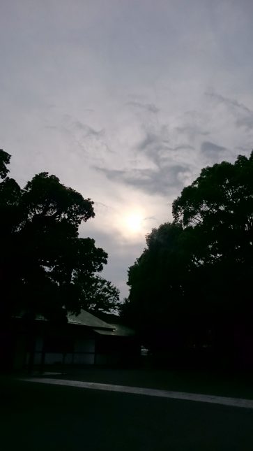 DSC_1011